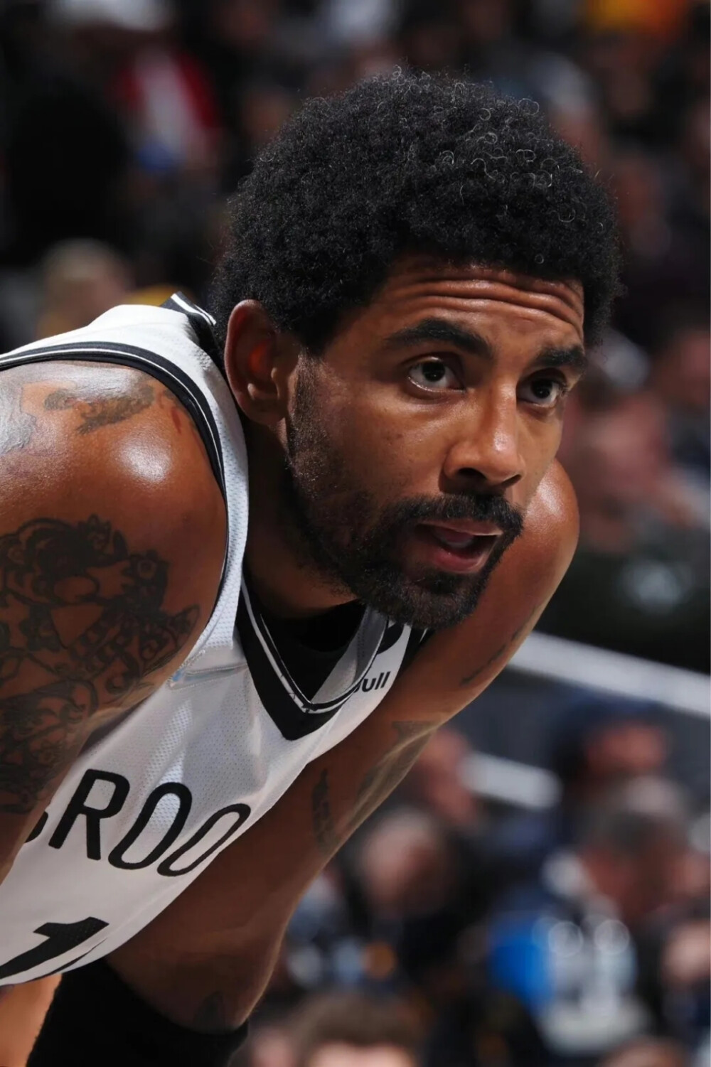 这无疑让我 这无疑让我